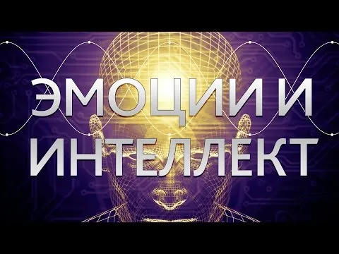 Нажми и смотри