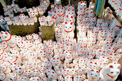 Манэки-нэко