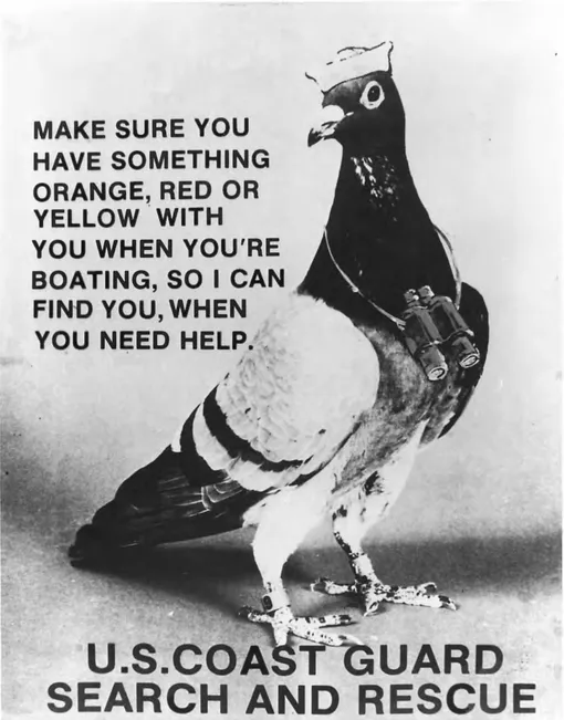 Плакат проекта «Морская охота» с голубем