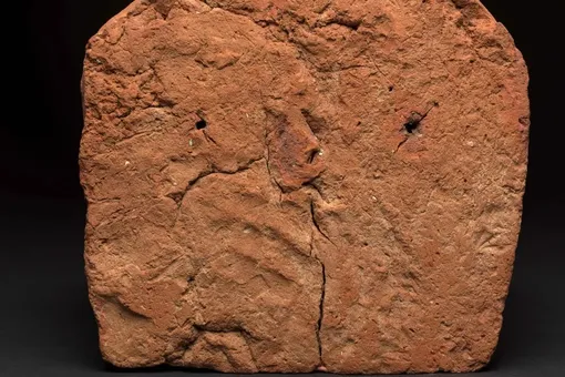Ученые нашли 4000-летний отпечаток руки древнего египтянина