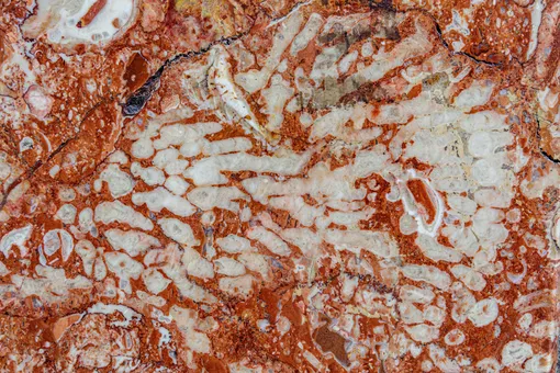 Крымский мрамор, станция «Красносельская»