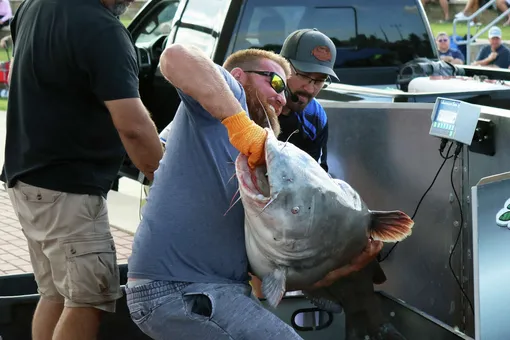 А вы бы смогли просто поднять такую рыбку?
