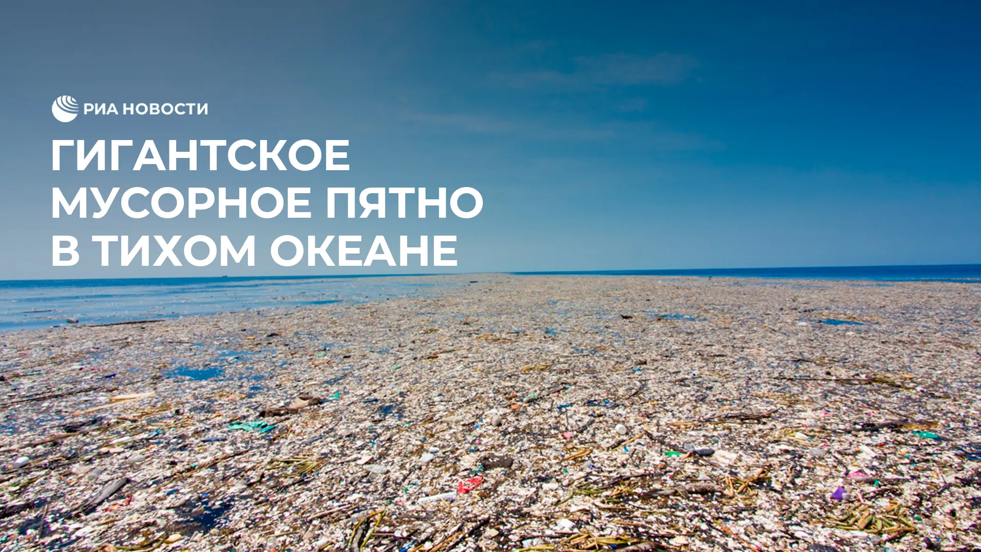 Нажми и смотри