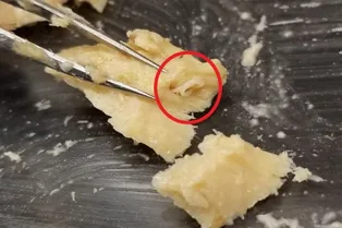 Банки с лососем из 1970-х поразили ученых! Вот каких паразитов нашли внутри