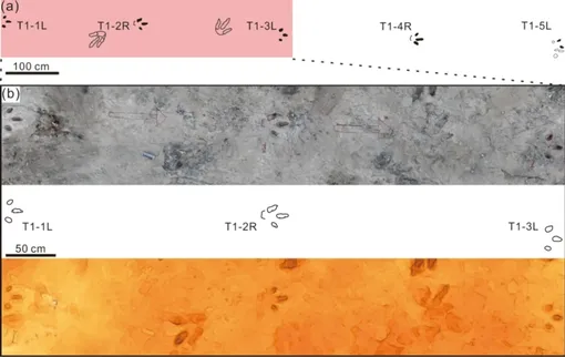 Следы динозавров