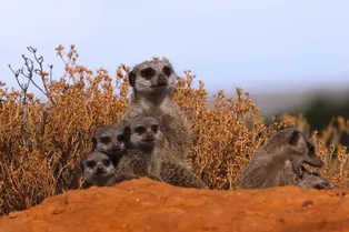 В чем секрет долголетия? Все зависит от того, с кем вы проводите время