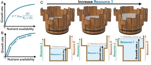 Усовершенствованный закон Либиха.