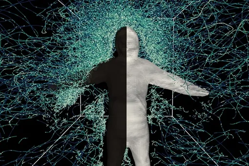 Исследователи наблюдали за поведением комаров вблизи добровольца, одетого в защитную одежду, одна сторона которой была черной, а другая — белой.