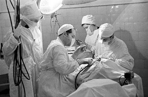 Операция под руководством Владимира Демихова, 1961 год Операция под руководством Владимира Демихова, 1961 год