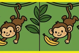 Сможете найти 3 отличия между обезьянками? Быстрый тест на внимательность Сможете найти 3 отличия между обезьянками? Быстрый тест на внимательность