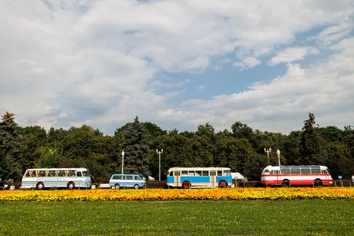 101 год регулярному автобусному сообщению: вспоминаем 5 легендарных автобусов столицы