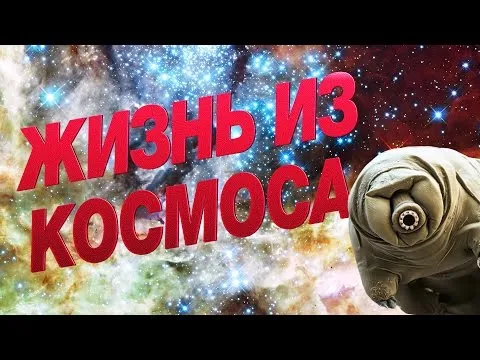 Нажми и смотри Нажми и смотри