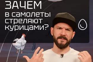 Как связаны авиация и бройлеры? Как связаны авиация и бройлеры?