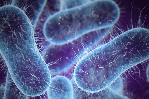 Биологический «цунами»: открыт новый способ, с помощью которого бактерии колонизируют поверхности Биологический «цунами»: открыт новый способ, с помощью которого бактерии колонизируют поверхности