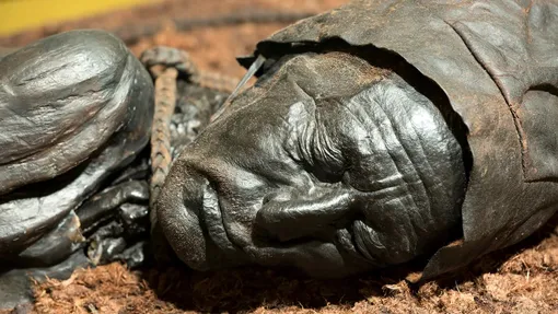 Человек из Толлунда Человек из Толлунда