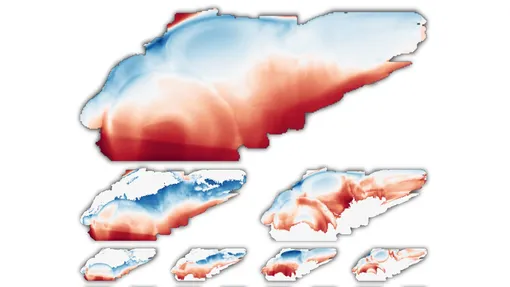 Нейробиологи отследили паттерны экспрессии по тысячам генов в двух соседних областях мозга рыбки данио-рерио, окрашенных в красный и синий цвета.