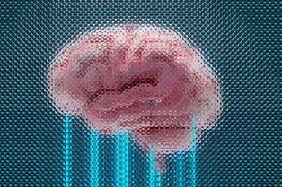 Выращивание чая на Луне и устройство для записи мыслей без слов: главные новости сегодня Выращивание чая на Луне и устройство для записи мыслей без слов: главные новости сегодня