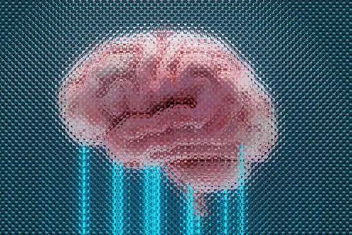 Выращивание чая на Луне и устройство для записи мыслей без слов: главные новости сегодня Выращивание чая на Луне и устройство для записи мыслей без слов: главные новости сегодня