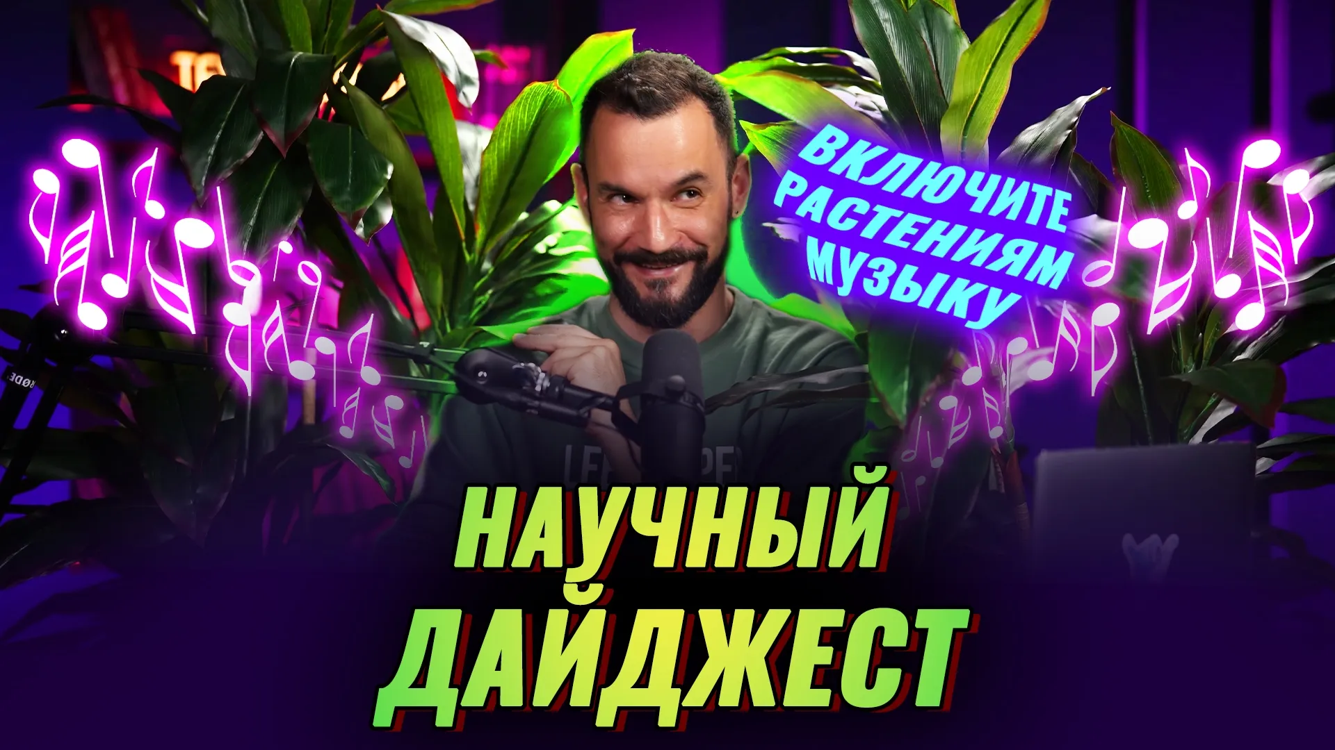 Нажми и смотри
