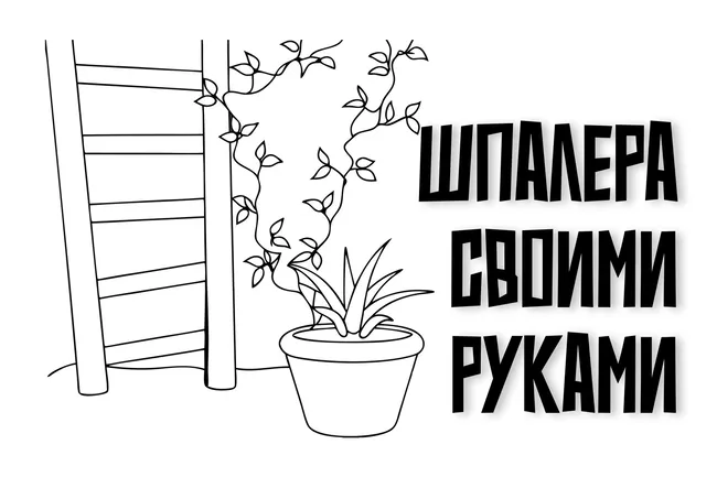 Как сделать шпалеру своими руками: инструкция для дачников