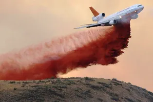 Профессиональный прием: почему лесные пожары тушат странной красной жидкостью