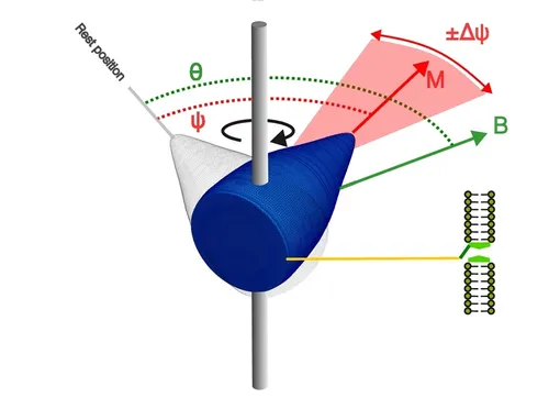 Моделирование магниторецептивного потенциала гигантских магнитофоссилий. Моделирование магниторецептивного потенциала гигантских магнитофоссилий.