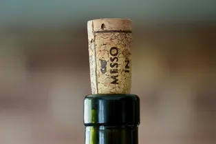 Натуральные, синтетические, винтовые: какие бывают пробки для вина и какой материал лучше Натуральные, синтетические, винтовые: какие бывают пробки для вина и какой материал лучше