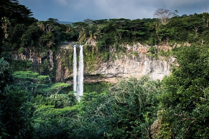 Природные метаморфозы: как убивший динозавров астероид изменил тропические леса