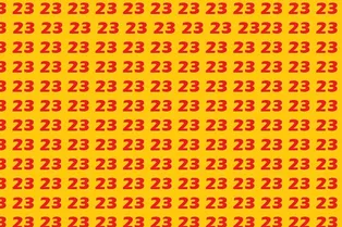 Таймер на 9 секунд: сможете найти число 22? Таймер на 9 секунд: сможете найти число 22?