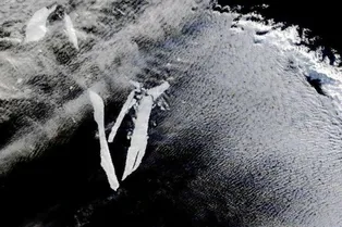 Крупнейшего в мире айсберга больше нет — его разорвало на части у «кладбища айсбергов»