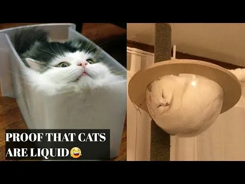 Нажми и смотри