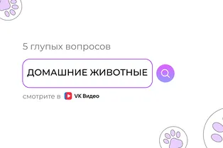 Тайны ваших животных: 5 глупых вопросов поисковикам 