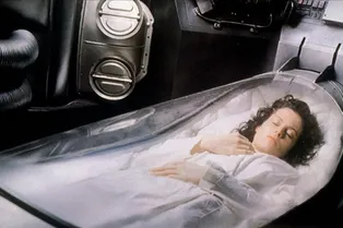 Замороженный мозг мышей удалось «оживить» через 8 дней Замороженный мозг мышей удалось «оживить» через 8 дней