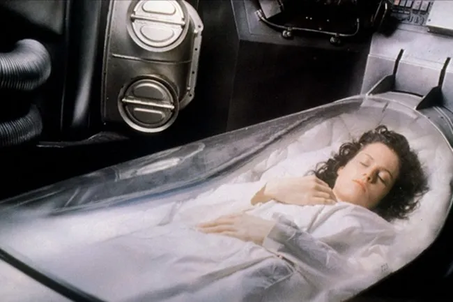 Замороженный мозг мышей удалось «оживить» через 8 дней