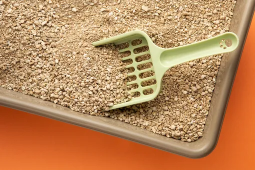 Кстати, если вы используете впитывающий наполнитель для кошачьего туалета, им тоже можно воспользоваться, чтобы вытянуть мочу из матраса Как очистить матрас от мочи