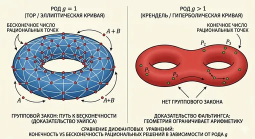 Геометрия диктует арифметику. Слева: Тор (род g = 1). Его простая топология позволяет рациональным точкам (красные точки, связанные групповым законом) «размножаться» до бесконечности. Справа: Крендель (род g = 2). Его сложная «изогнутость» (топологическая кривизна) буквально «выдавливает» рациональные точки, делая их количество (зеленые точки) всегда конечным. Это и есть фундаментальное утверждение Фальтингса, доказанное им в гипотезе Морделла.
