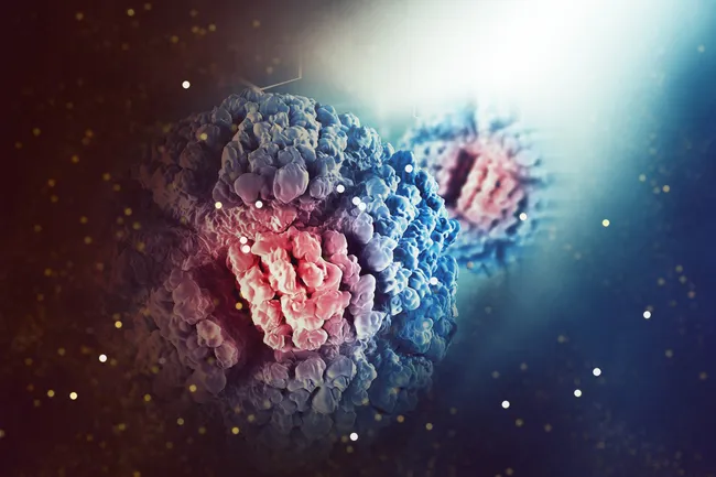 В Сеченовке представили нейросеть для выявления метастазов