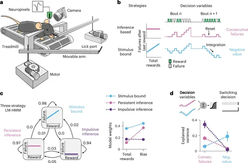 Эксперимент с мышами Эксперимент с мышами, графика