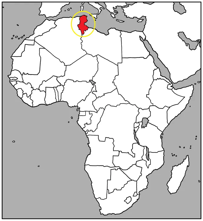 Какая страна выделена красным на контурной карте?