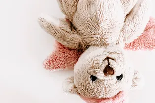 Чистый друг: как без проблем постирать мягкую игрушку в стиральной машине Чистый друг: как без проблем постирать мягкую игрушку в стиральной машине