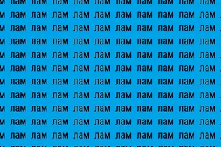 Проверим вашу внимательность? Найдите на картинке слово «лом» Проверим вашу внимательность? Найдите на картинке слово «лом»