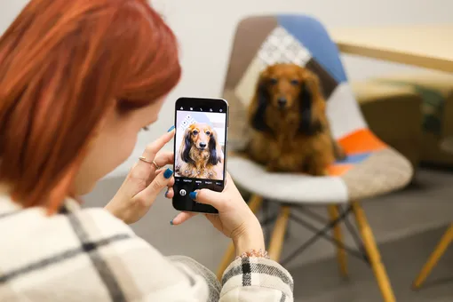 камера Huawei nova 15