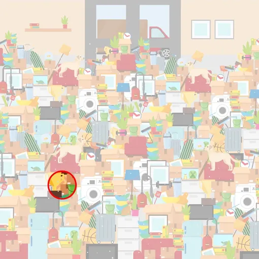 А вот и ответ!