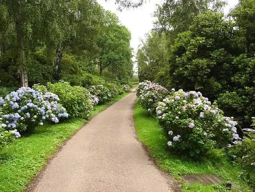 бетонная дорожка в саду https://www.pickpik.com/garden-path-country-stone-green-plant-148428 бетонная дорожка в саду https://www.pickpik.com/garden-path-country-stone-green-plant-148428