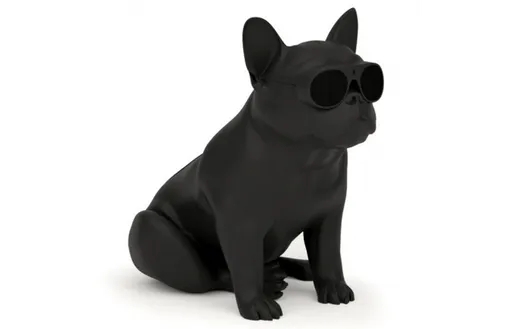 AeroSystem AeroBull XS1