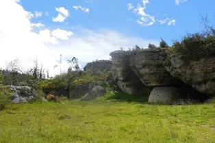 В Колумбии нашли древнейший след бактерии сифилиса