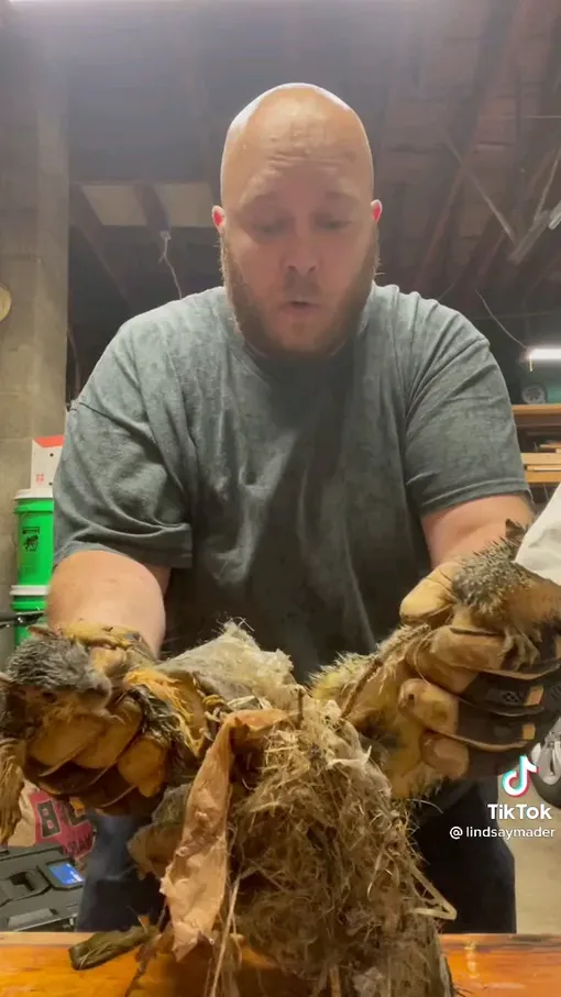 Вот это задачка... Вот это задачка...