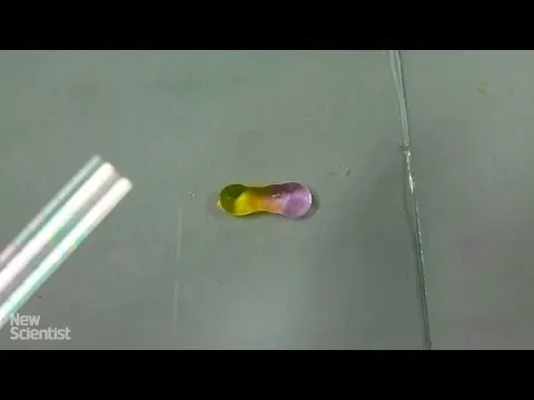 Нажми и смотри Нажми и смотри