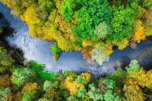 Повышение температуры разрушает речные экосистемы
