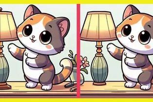 Между милыми котятами есть 3 отличия. Сможете найти их за 14 секунд? Между милыми котятами есть 3 отличия. Сможете найти их за 14 секунд?